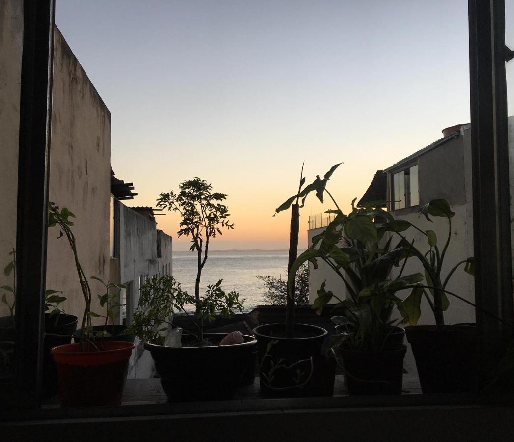 Casamarelo Hostel 萨尔瓦多 外观 照片